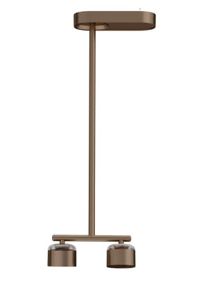 Multi-Head Linear Surface-Mounted Pendant Light