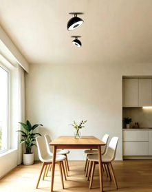 Recessed Ceiling Light